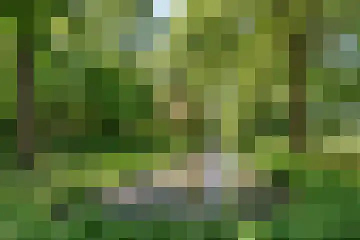 Trophornsterweg 4 Harich thumbnail 46