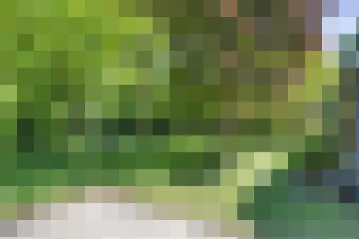 Trophornsterweg 4 Harich thumbnail 47