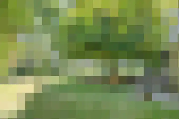 Trophornsterweg 4 Harich thumbnail 48