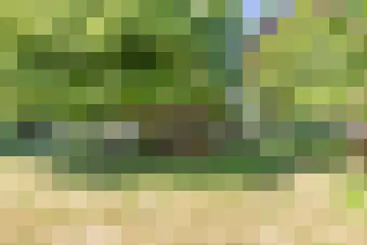 Trophornsterweg 4 Harich thumbnail 49