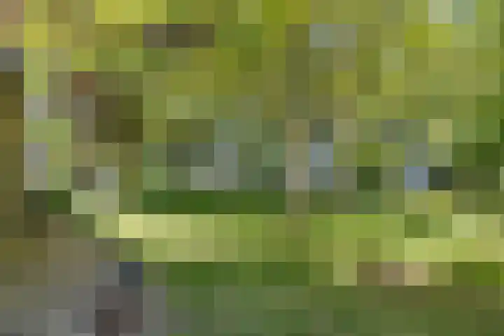 Trophornsterweg 4 Harich thumbnail 5