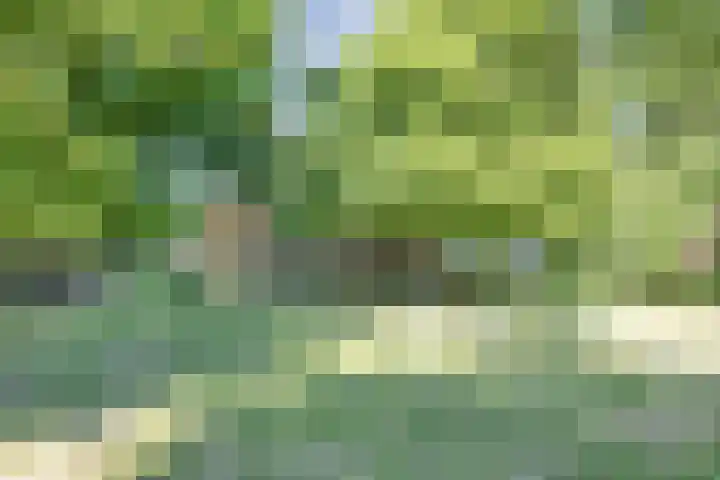 Trophornsterweg 4 Harich thumbnail 50