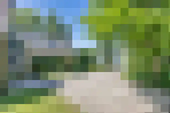 Trophornsterweg 4 Harich thumbnail 52