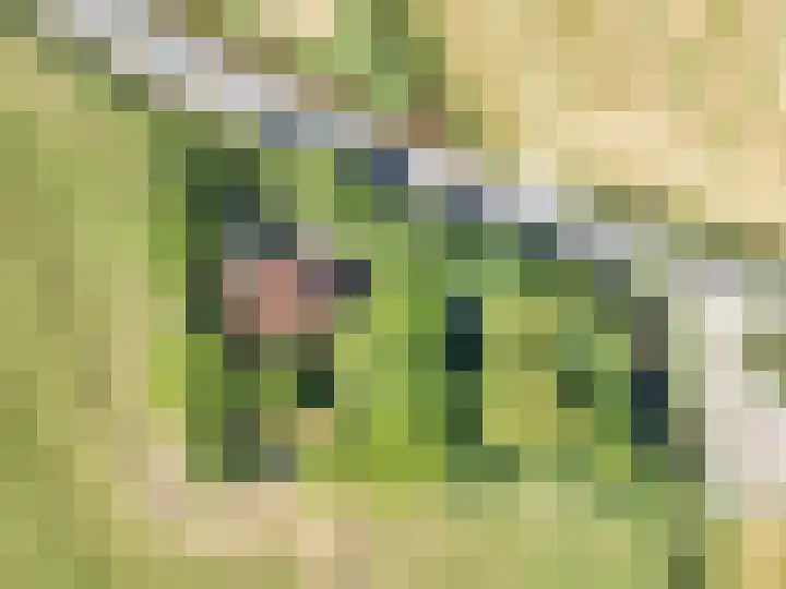 Trophornsterweg 4 Harich thumbnail 60