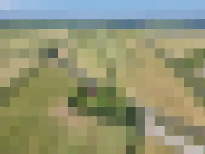 Trophornsterweg 4 Harich thumbnail 61