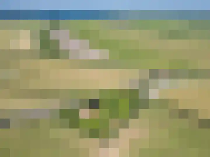 Trophornsterweg 4 Harich thumbnail 62