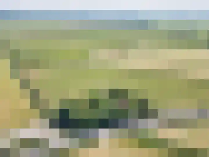Trophornsterweg 4 Harich thumbnail 63