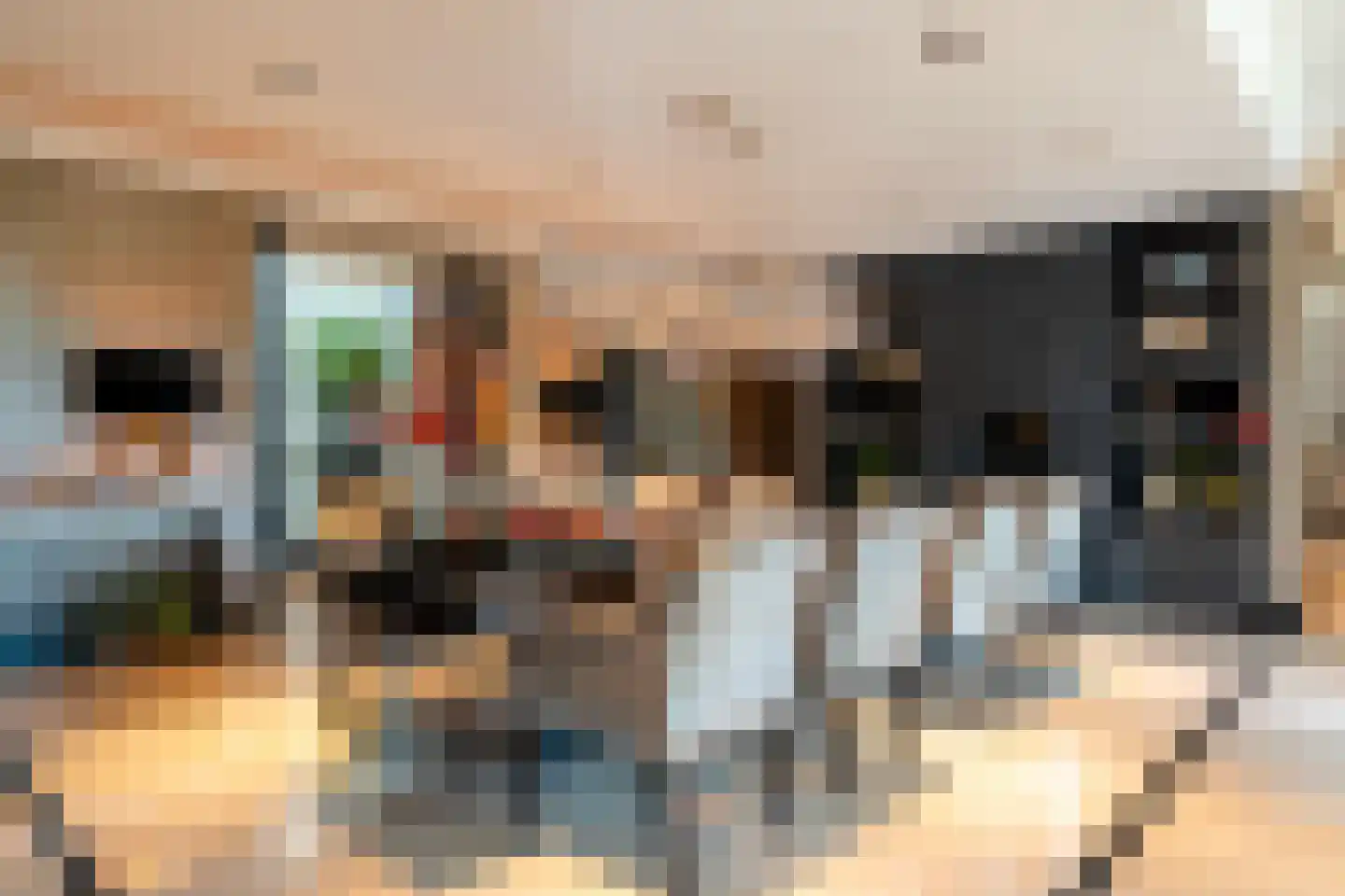 Tros 11 Stadskanaal thumbnail 21