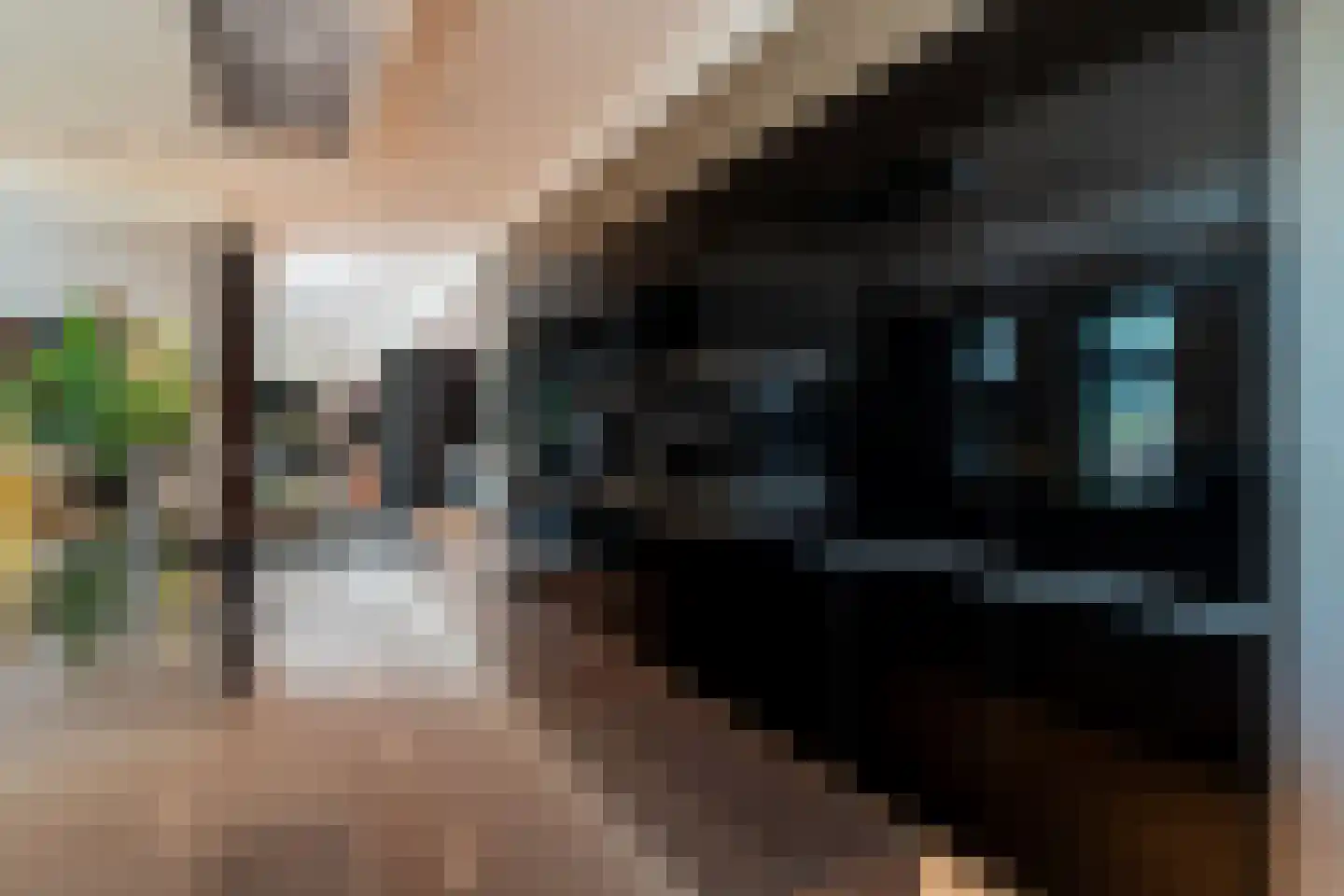 Tros 11 Stadskanaal thumbnail 26