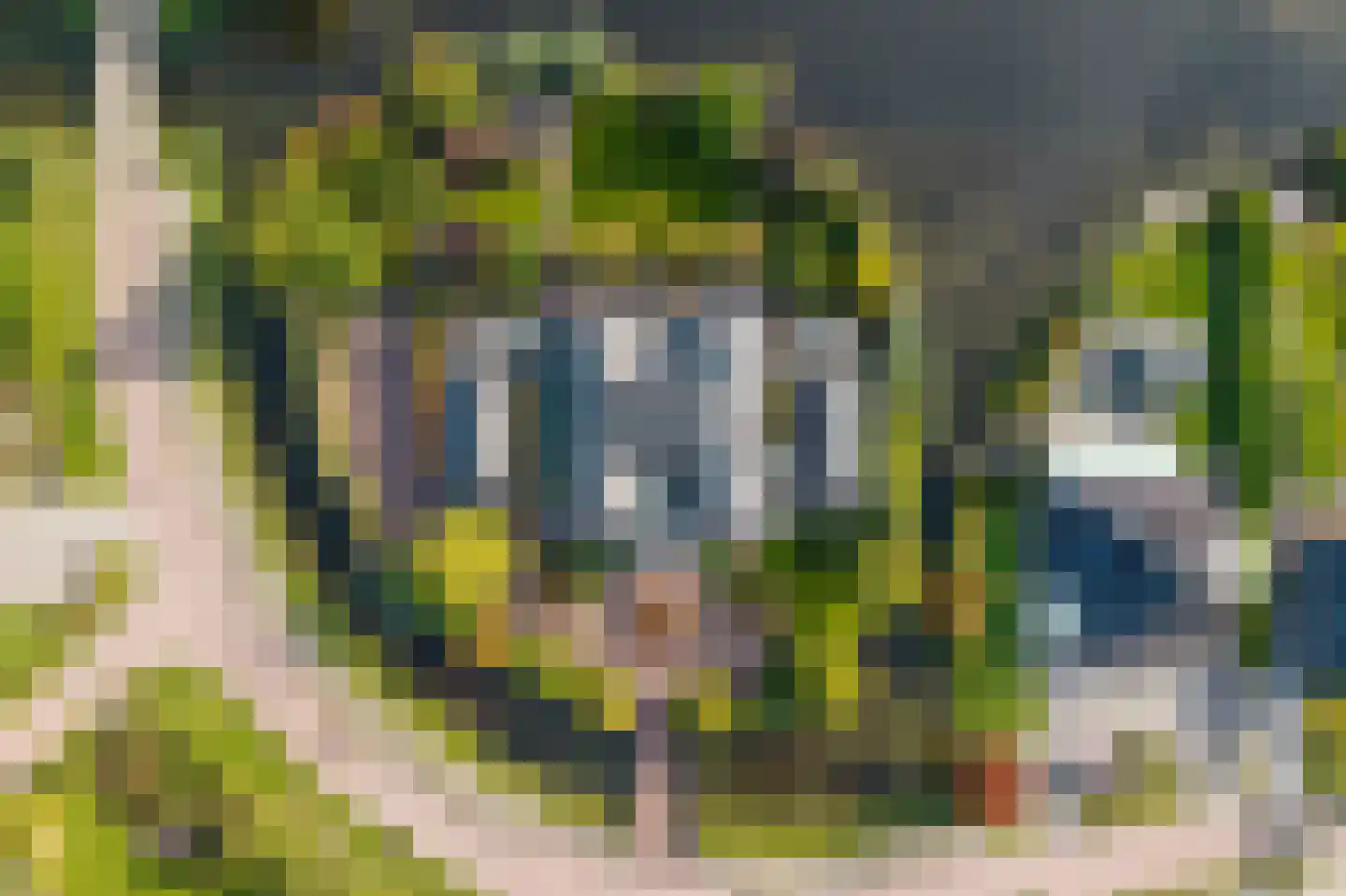 Tros 11 Stadskanaal thumbnail 4