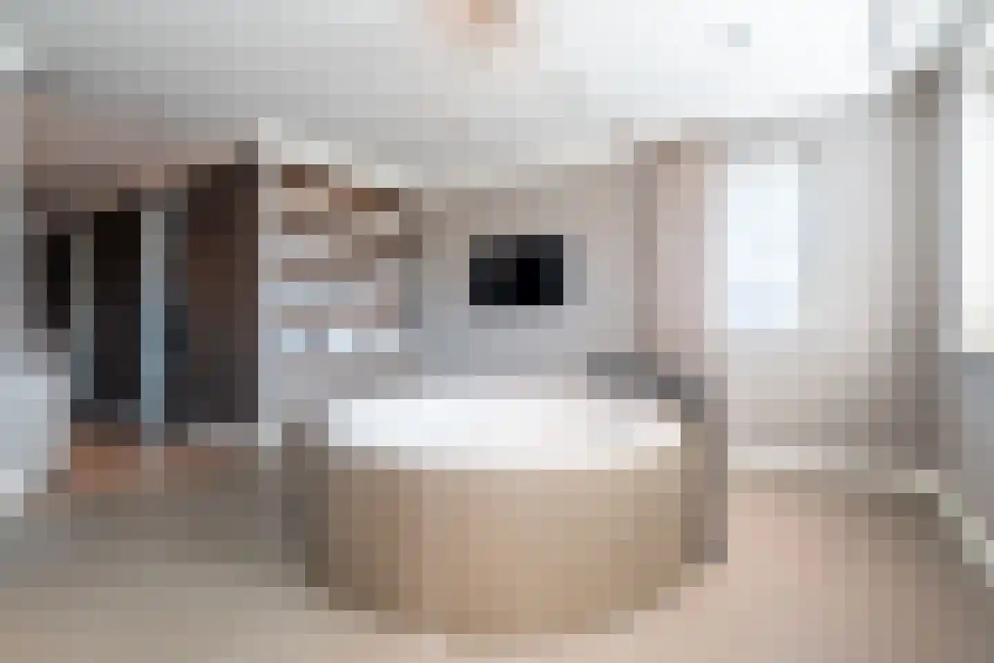 Tros 11 Stadskanaal thumbnail 40