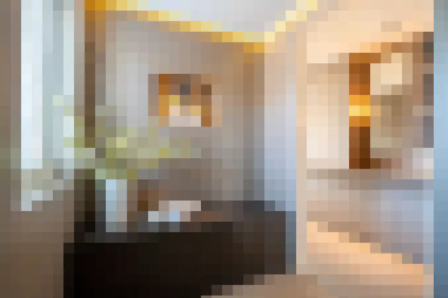 Tros 11 Stadskanaal thumbnail 42