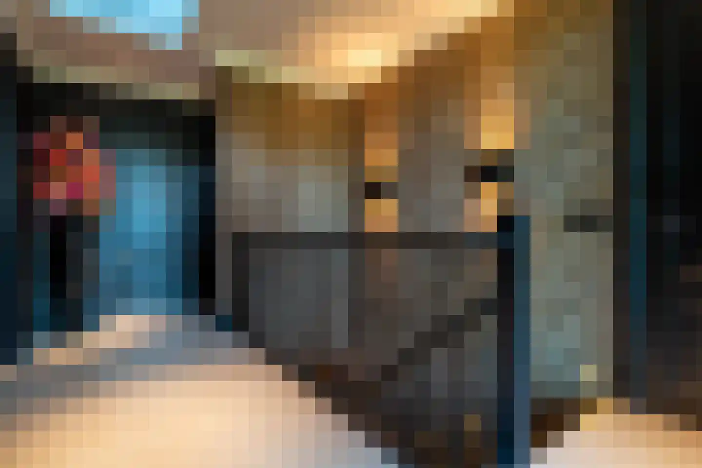 Tros 11 Stadskanaal thumbnail 70