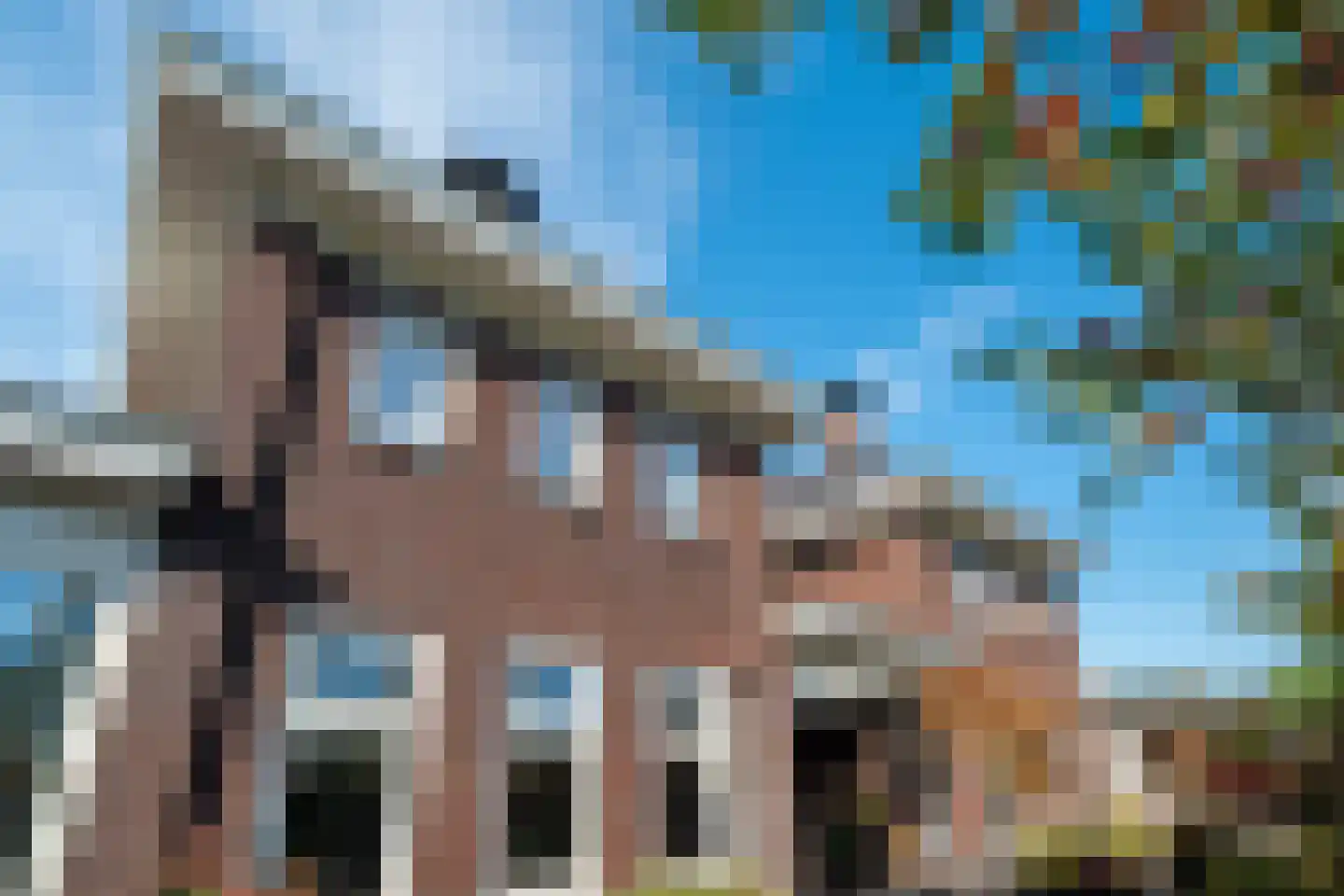 Tros 11 Stadskanaal thumbnail 75