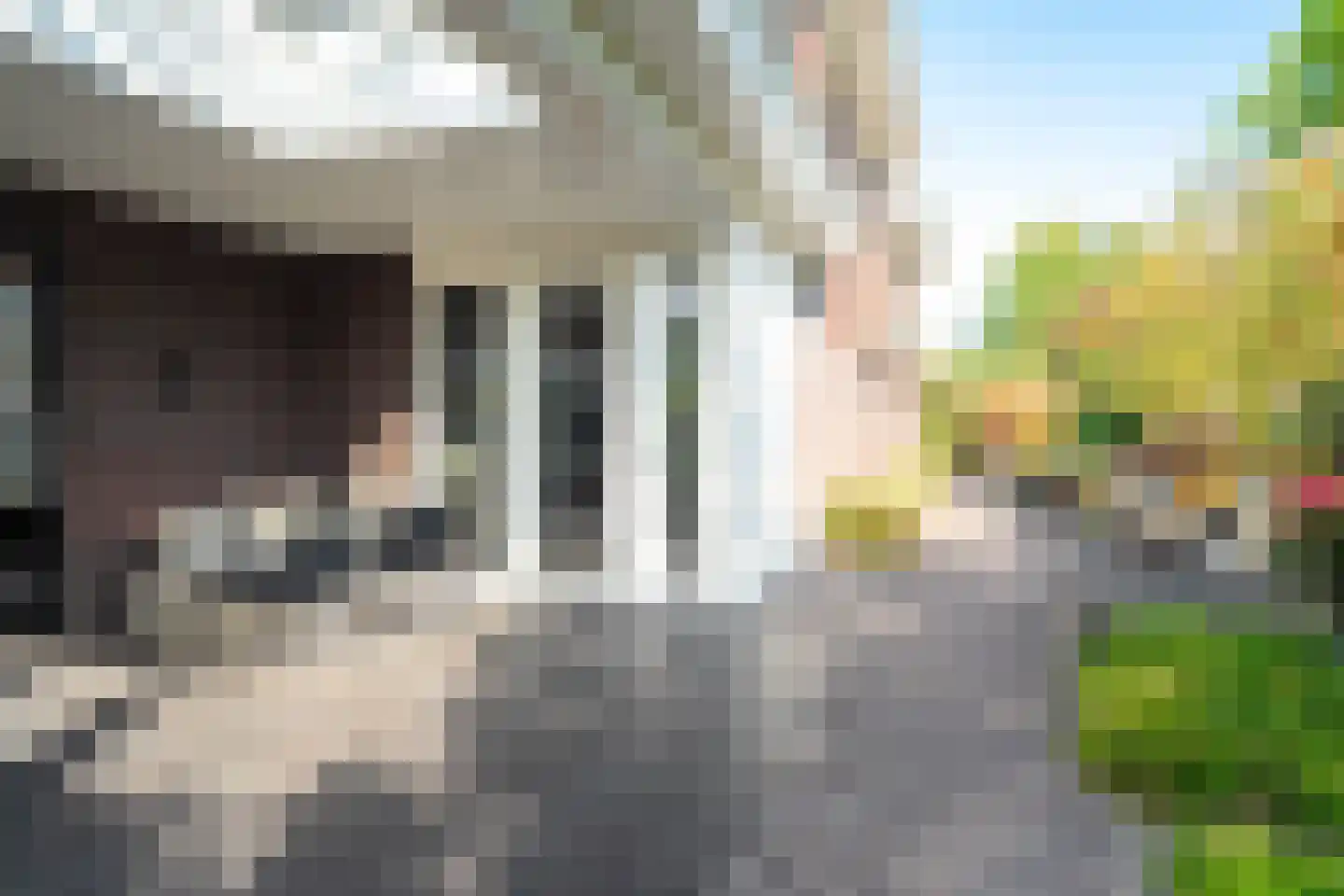 Tros 11 Stadskanaal thumbnail 77