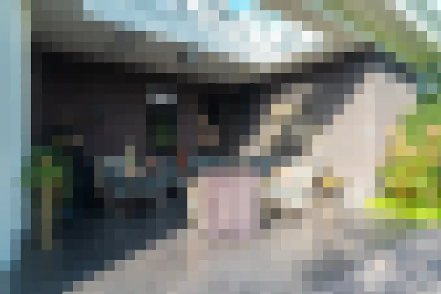 Tros 11 Stadskanaal thumbnail 79