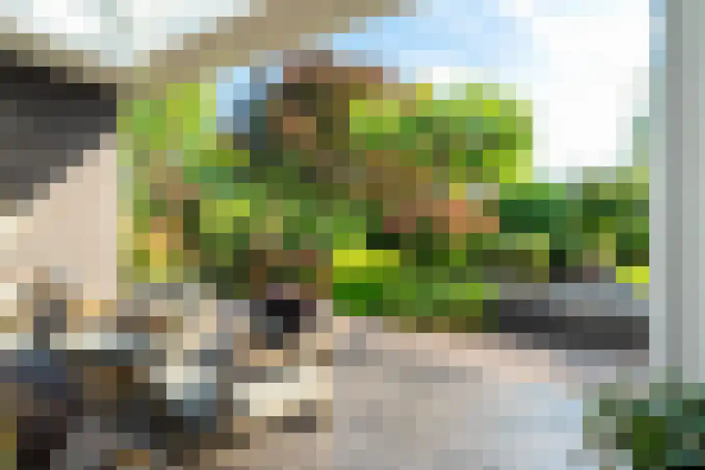 Tros 11 Stadskanaal thumbnail 80