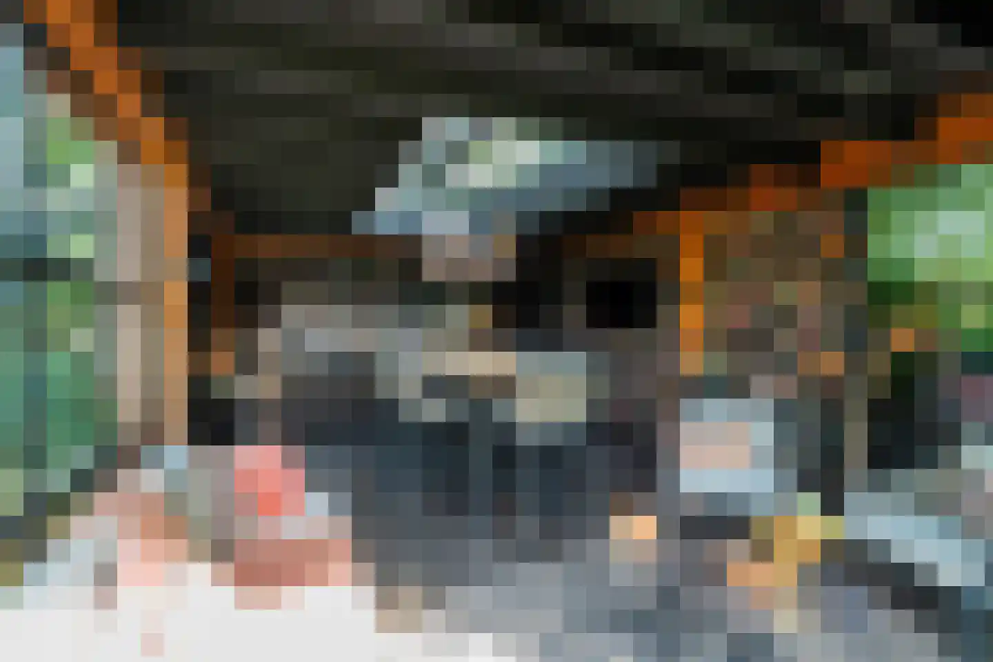 Tros 11 Stadskanaal thumbnail 84