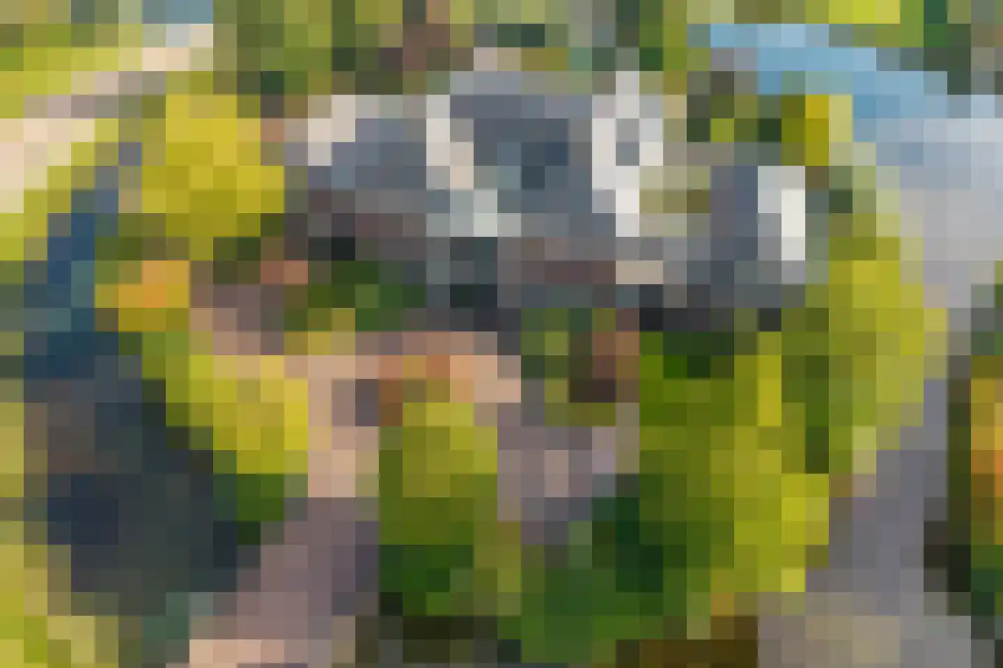 Tros 11 Stadskanaal thumbnail 94