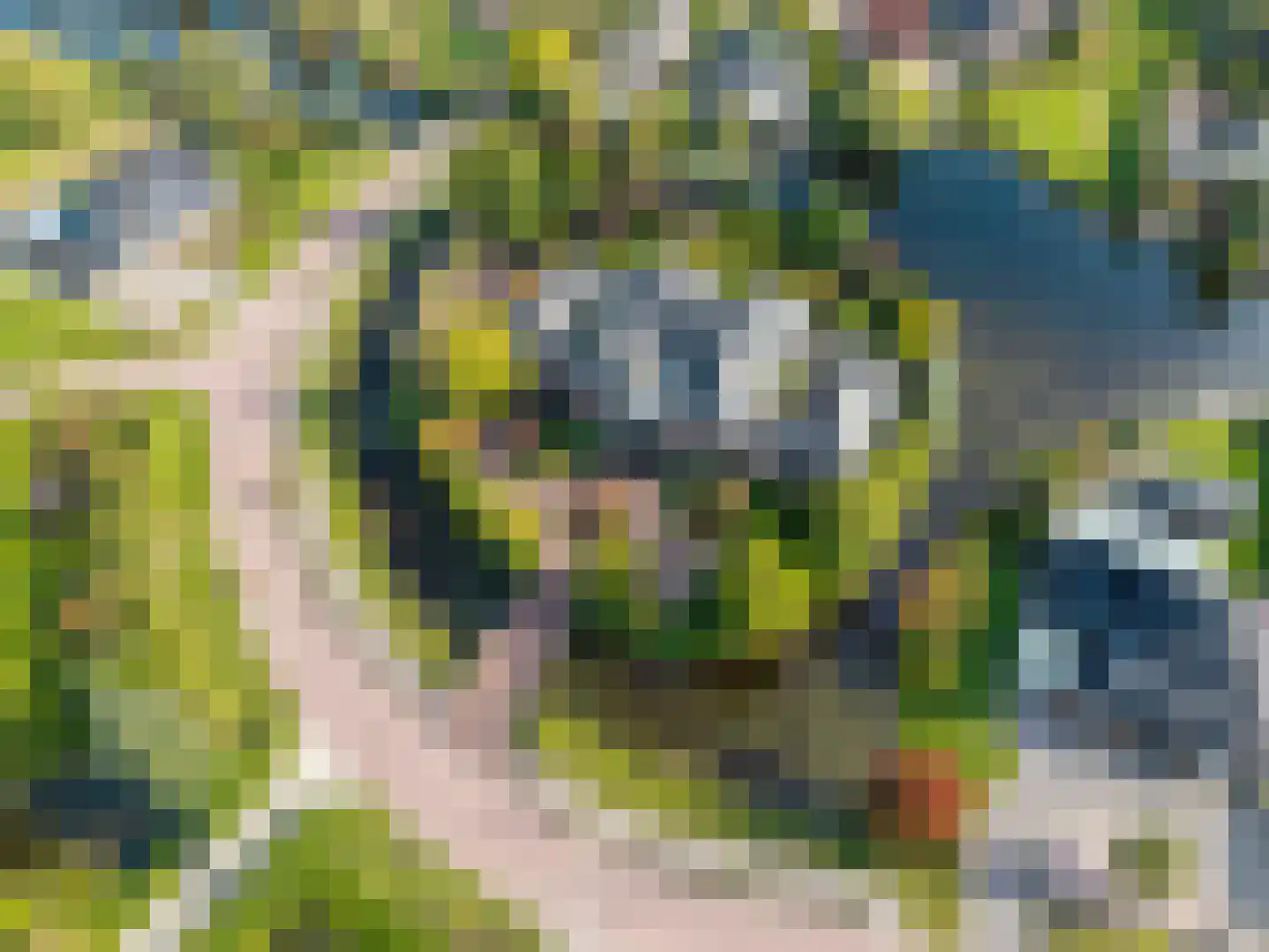 Tros 11 Stadskanaal thumbnail 96