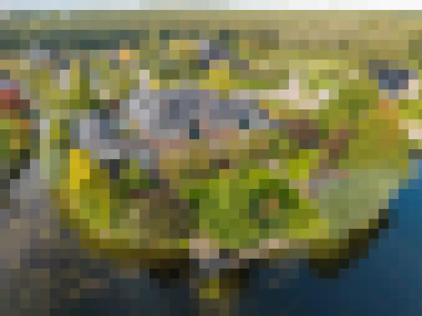 Tros 11 Stadskanaal thumbnail 98