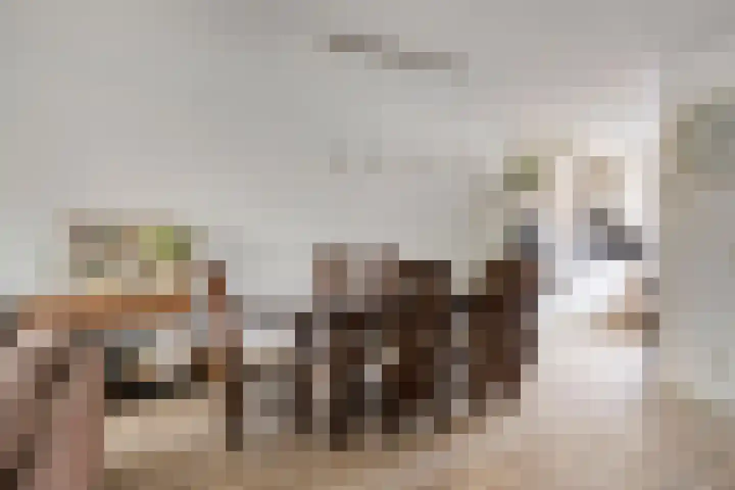Tros 15 Oudewater thumbnail 13