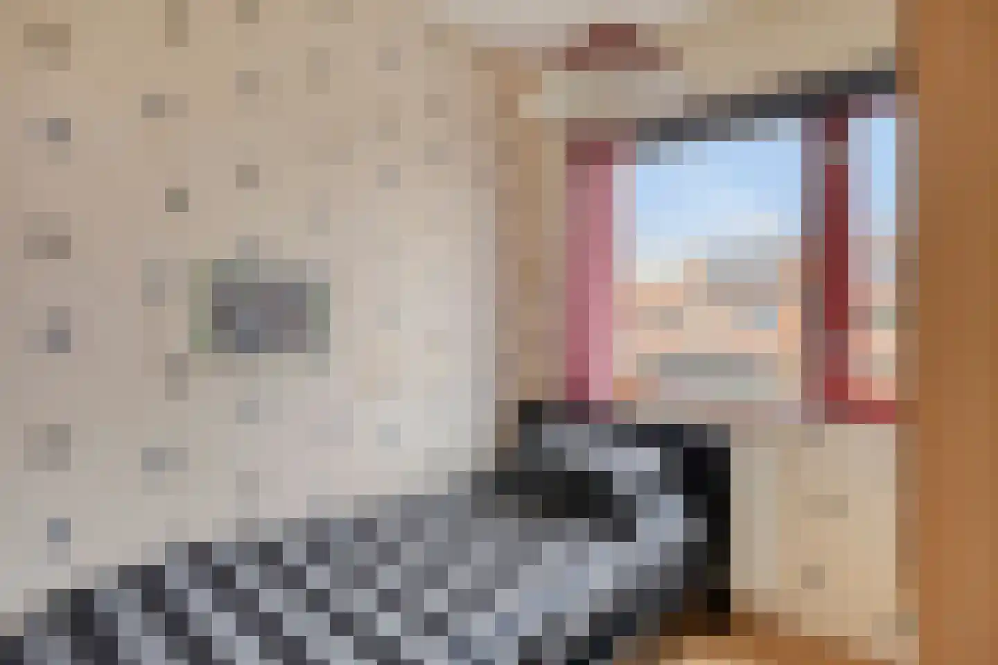 Tros 15 Oudewater thumbnail 18