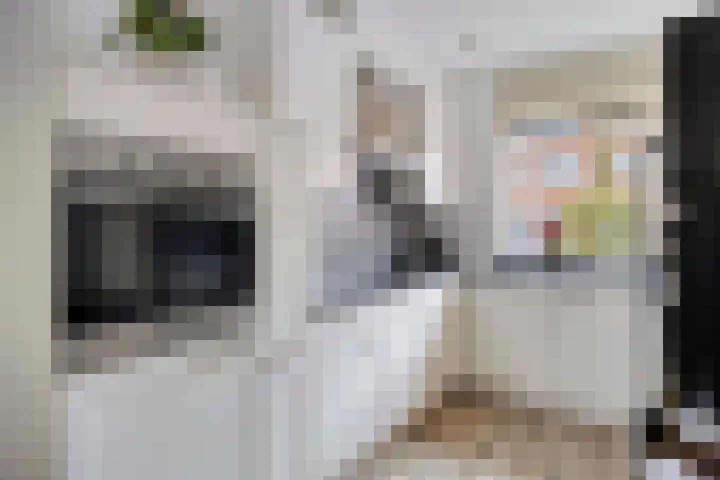 Tros 15 Oudewater thumbnail 5