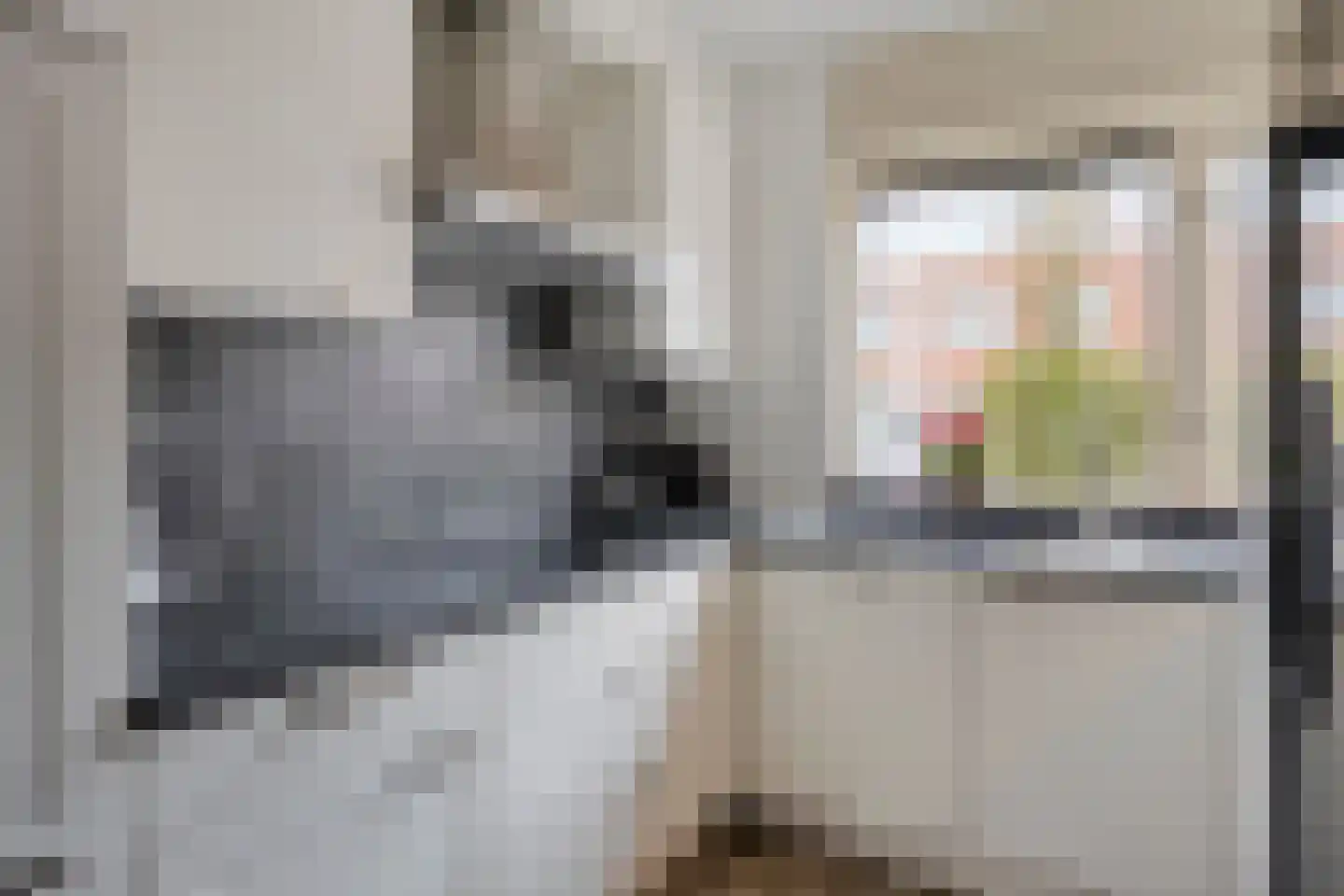 Tros 15 Oudewater thumbnail 6