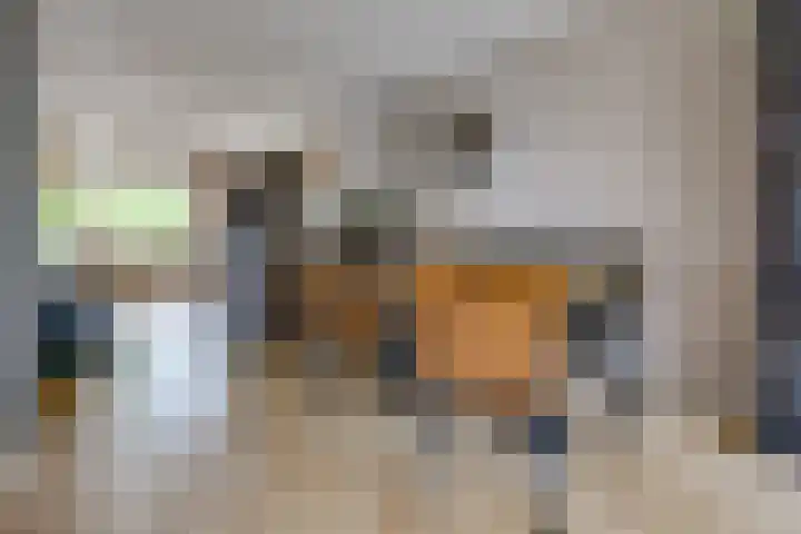 Tros 32 Stadskanaal thumbnail 16