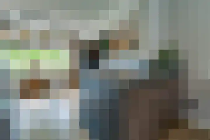 Tros 32 Stadskanaal thumbnail 17