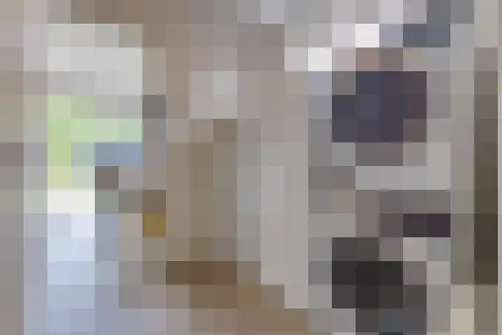 Tros 32 Stadskanaal thumbnail 20