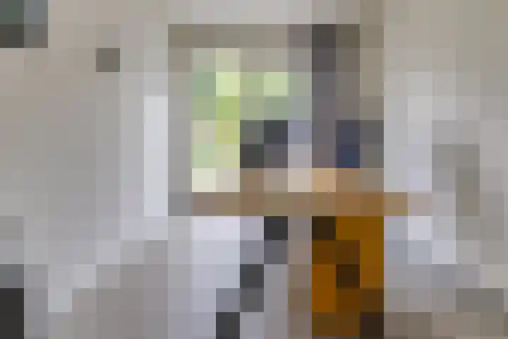 Tros 32 Stadskanaal thumbnail 21