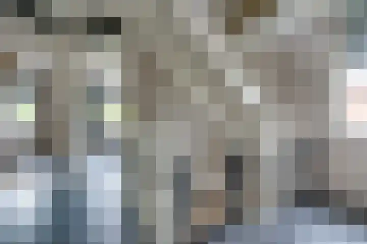 Tros 32 Stadskanaal thumbnail 22