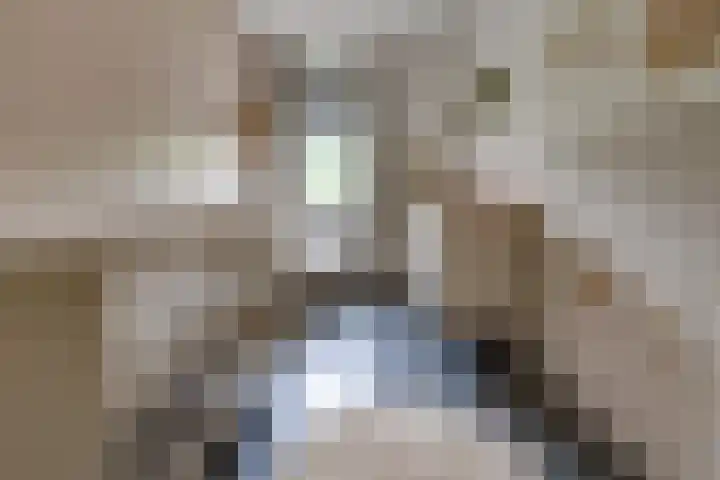 Tros 32 Stadskanaal thumbnail 24