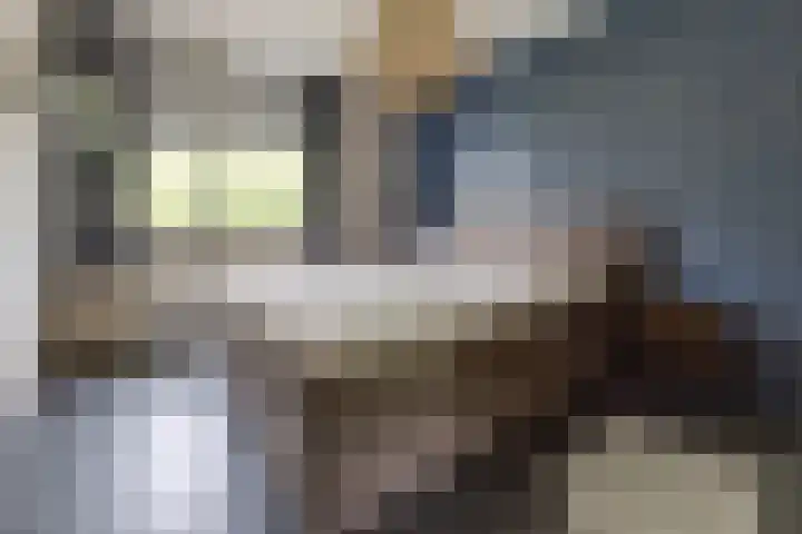 Tros 32 Stadskanaal thumbnail 26
