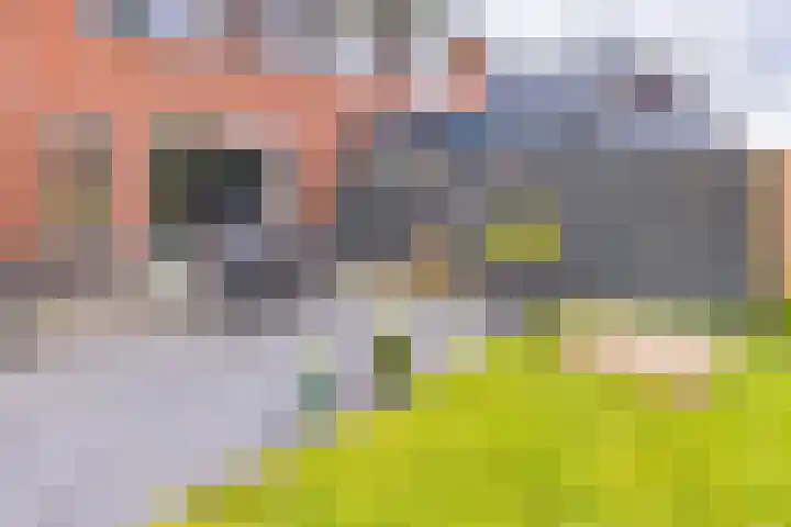 Tros 32 Stadskanaal thumbnail 37