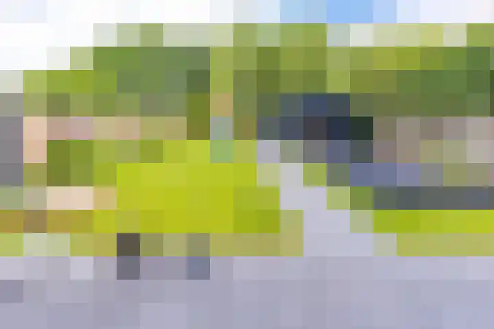 Tros 32 Stadskanaal thumbnail 39