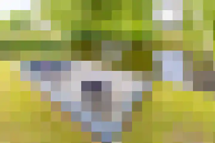 Tros 32 Stadskanaal thumbnail 41