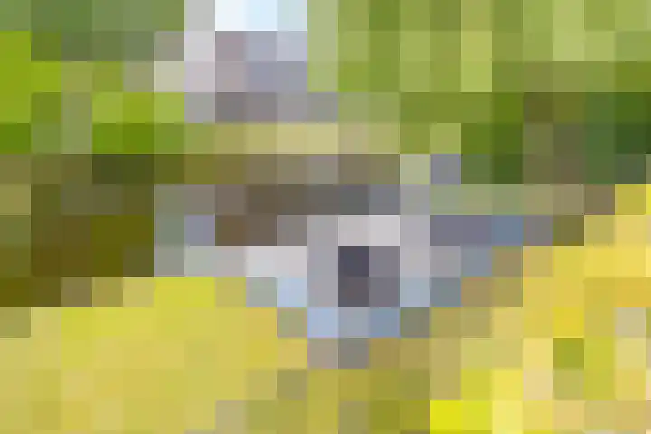 Tros 32 Stadskanaal thumbnail 42