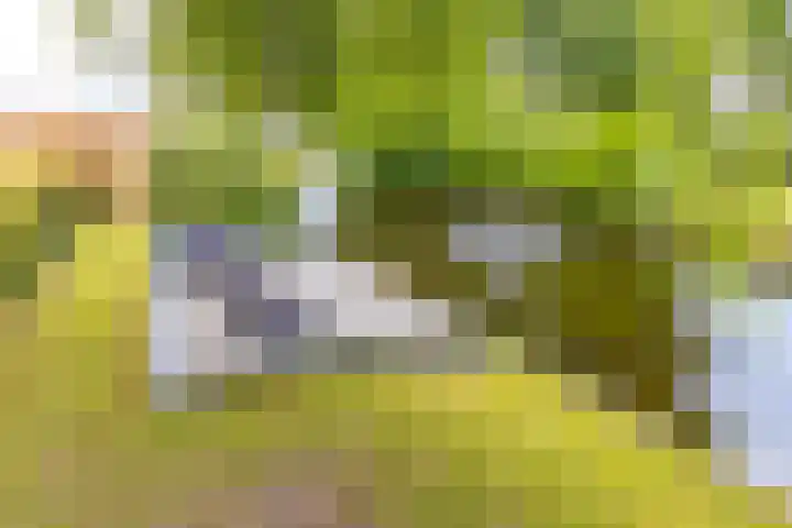 Tros 32 Stadskanaal thumbnail 43
