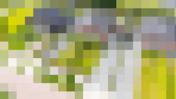 Tros 32 Stadskanaal thumbnail 45
