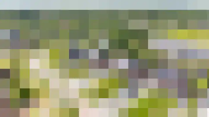 Tros 32 Stadskanaal thumbnail 47