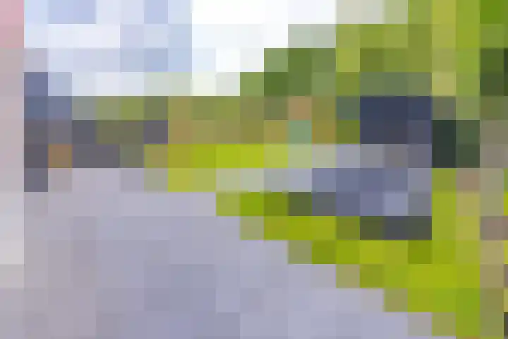 Tros 32 Stadskanaal thumbnail 5