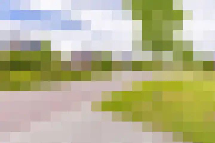 Tros 32 Stadskanaal thumbnail 7