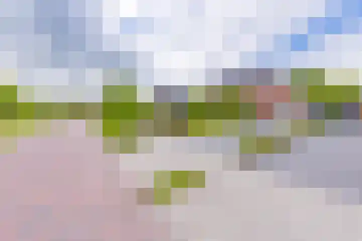 Tros 32 Stadskanaal thumbnail 8