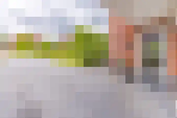 Tros 32 Stadskanaal thumbnail 9