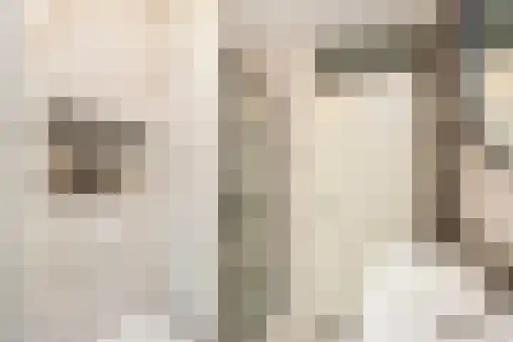 Tros 7 Oudewater thumbnail 25