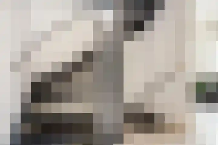 Tros 7 Oudewater thumbnail 35