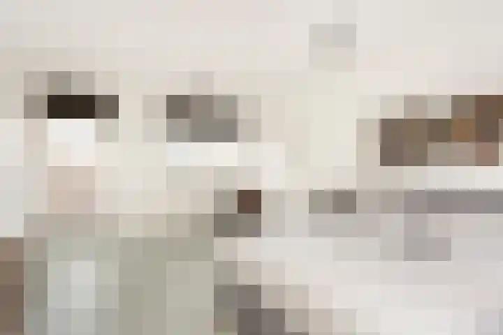 Tros 7 Oudewater thumbnail 40